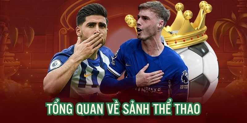 the-thao-tong-quan